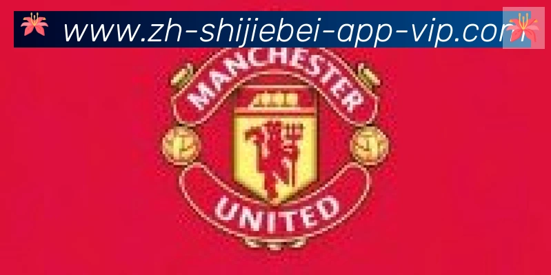2026世界杯APP下载合作伙伴